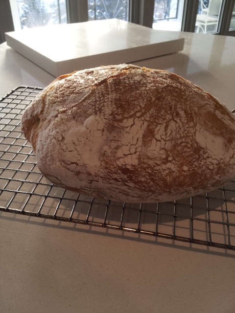 No Knead Bread (Dutch Oven Bread) - Jessica in the Kitchen