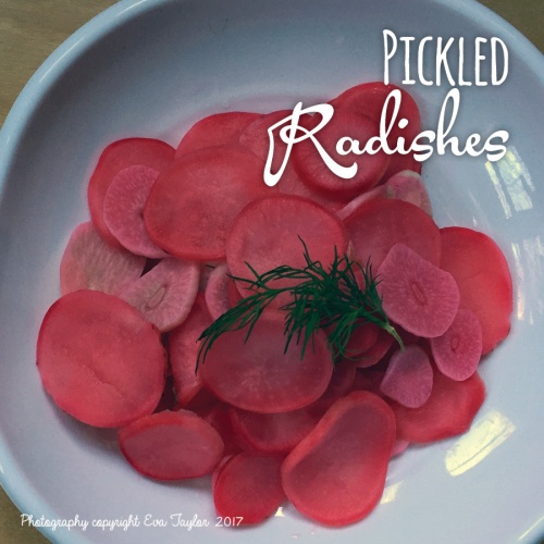pickledradishes_first